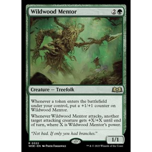 Wildwood Mentor