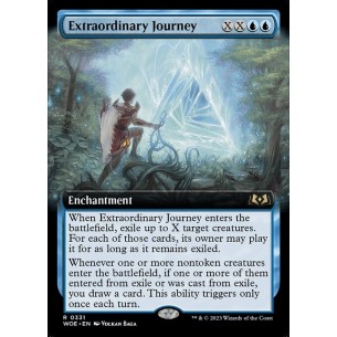 Extraordinary Journey