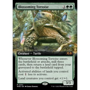 Blossoming Tortoise