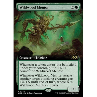 Wildwood Mentor