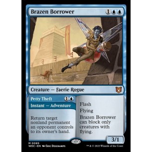 Brazen Borrower // Petty Theft