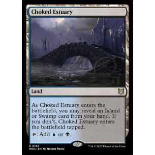 Choked Estuary