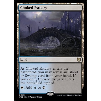 Choked Estuary