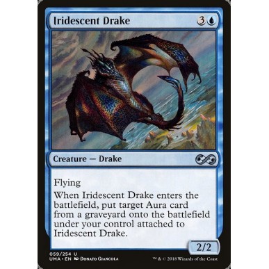 Iridescent Drake