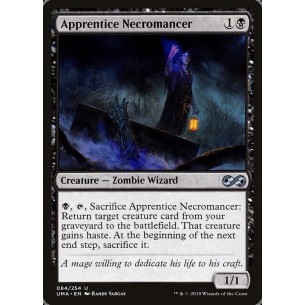 Apprentice Necromancer