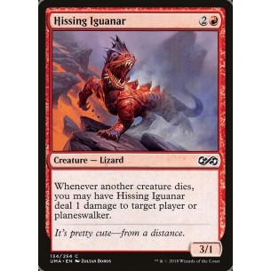 Hissing Iguanar