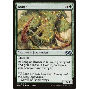 Brawn