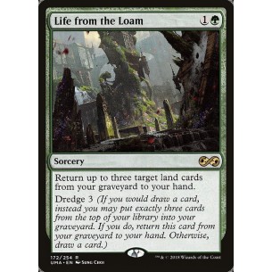 Life from the Loam