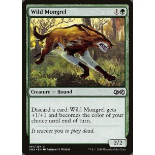 Wild Mongrel