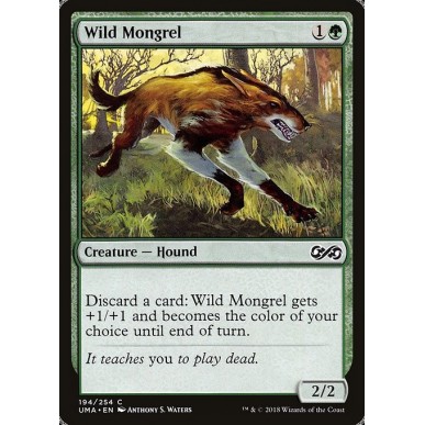 Wild Mongrel