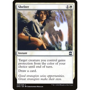 Shelter