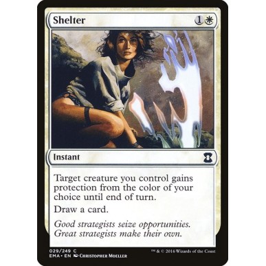 Shelter