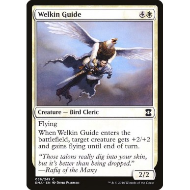 Welkin Guide