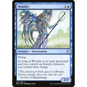 Wonder