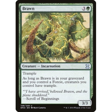 Brawn