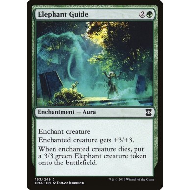 Elephant Guide