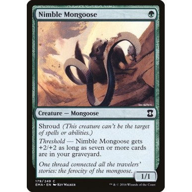 Nimble Mongoose