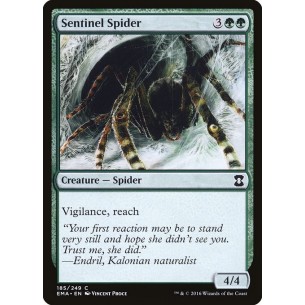 Sentinel Spider