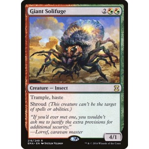 Giant Solifuge