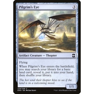 Pilgrim's Eye