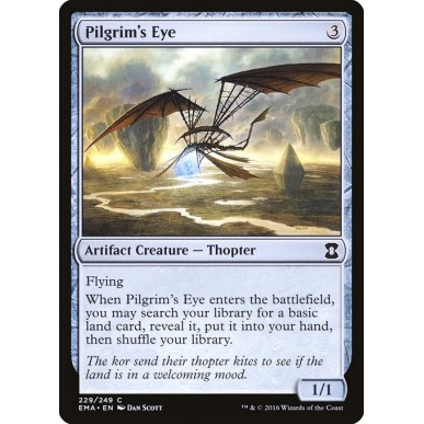Pilgrim's Eye