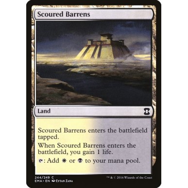 Scoured Barrens