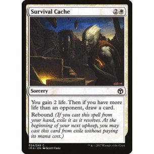 Survival Cache