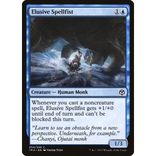 Elusive Spellfist