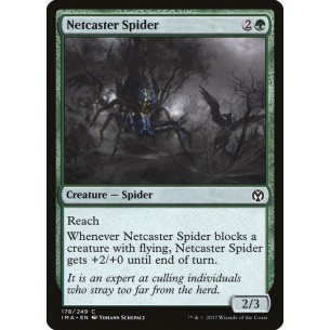 Netcaster Spider