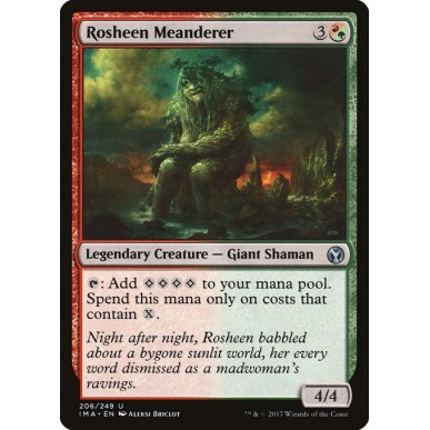 Rosheen Meanderer