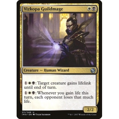 Vizkopa Guildmage