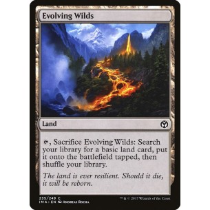 Evolving Wilds
