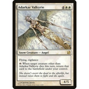 Adarkar Valkyrie