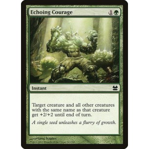 Echoing Courage