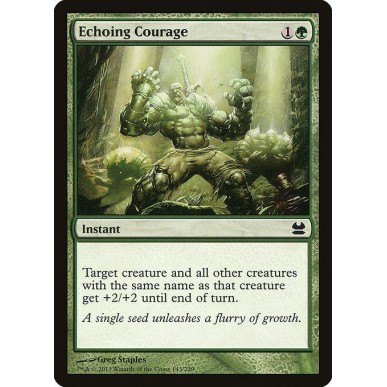 Echoing Courage