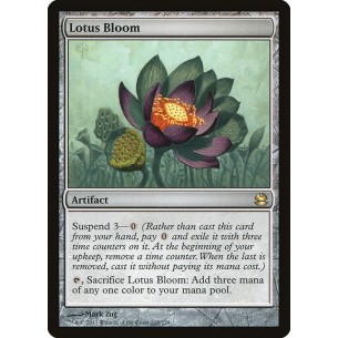 Lotus Bloom
