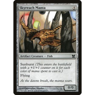Skyreach Manta