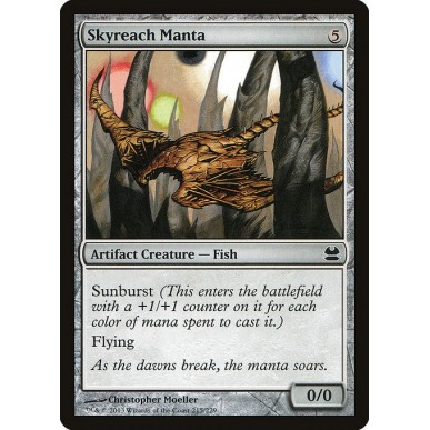 Skyreach Manta
