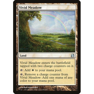 Vivid Meadow