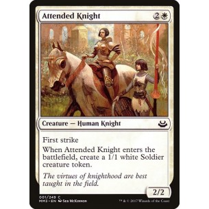 Attended Knight