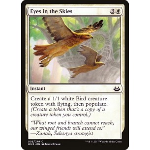 Eyes in the Skies
