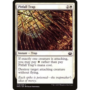 Pitfall Trap