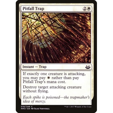 Pitfall Trap