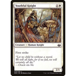 Youthful Knight