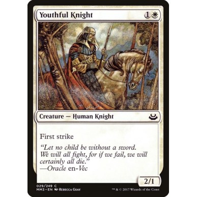 Youthful Knight