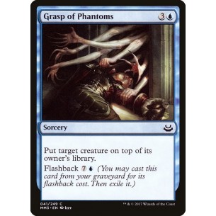 Grasp of Phantoms