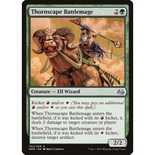 Thornscape Battlemage