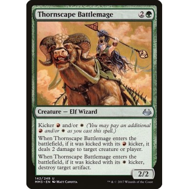 Thornscape Battlemage