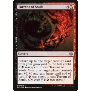 Torrent of Souls