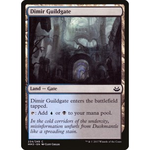 Dimir Guildgate